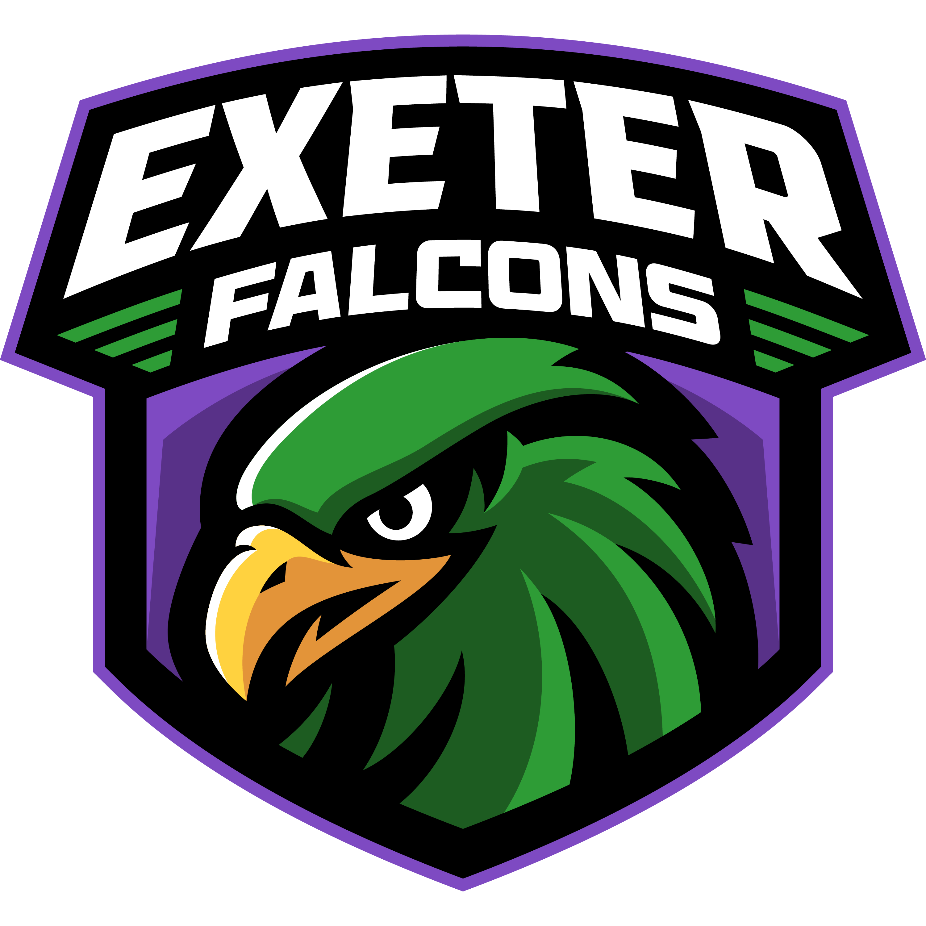 Exeter Falcons Logo